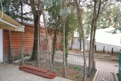 Proprietate specială, de 385 mp, în Rovine - 16