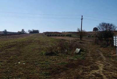 Teren de 3200 mp, în Schineni (Sascut) - 2
