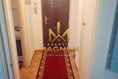 Apartament cu 2 camere semidecomandat în Săsar