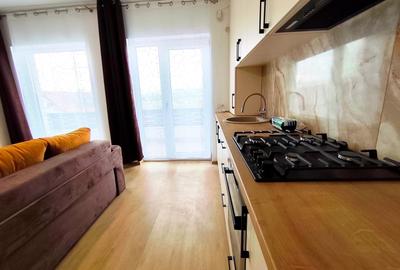 Apartament cu 2 camere semidecomandat în Frumoasa - 2