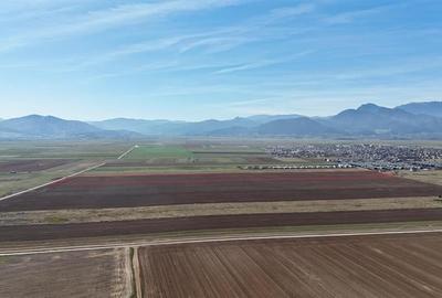 Teren agricol extravilan de 92700 mp, în Tărlungeni - 3