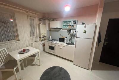 Apartament cu 2 camere semidecomandat în Nicolae Grigorescu - 3