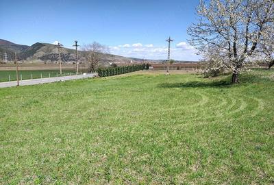 Teren de 3100 mp, în Moldovenești - 4