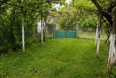 Casă cu 2 camere cu Teren 3426 Mp în Cornățel