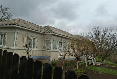 Casă cu 6 camere cu Teren 1900 Mp în Mihai Bravu