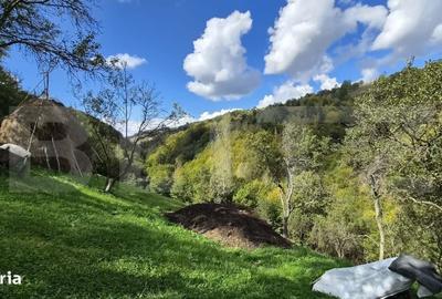 Casă cu 3 camere în Paltin