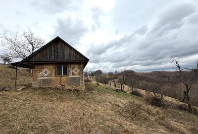 Teren agricol extravilan de 34000 mp, în Șerani - 3