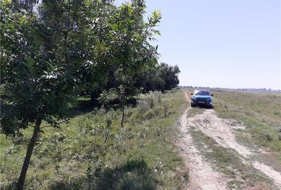 Teren în Mahmudia - 7