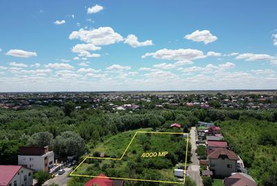 Teren Construcții intravilan de 1000 mp, în Domnești - 3