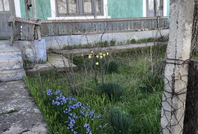 Teren de 3444 mp, în Oancea - 7