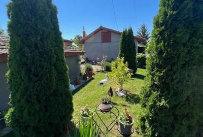 Casă cu 3 camere cu Teren 2900 Mp în Alba - 8