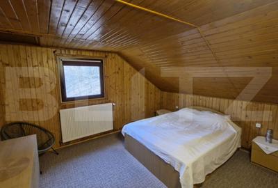 Casă cu 5 camere cu Teren 3000 Mp în Valea Inzelului - 9