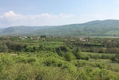 Teren de 1000 mp, în Central