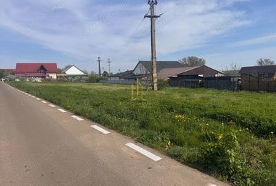 Teren de 1699 mp, în Moara