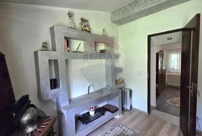 Casă cu 3 camere cu Teren 5800 Mp în Lechința - 8
