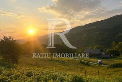 Teren extravilan de 10900 mp, în Remeți
