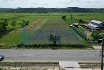 Teren de 3043 mp, în Prisaca - 7