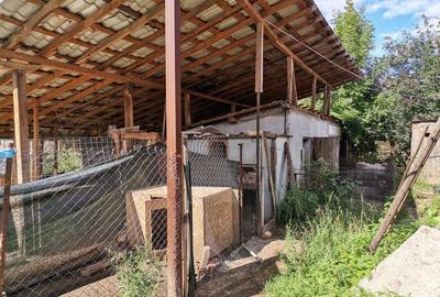 Casă cu 5 camere cu Teren 6800 Mp în Hărțăgani - 4