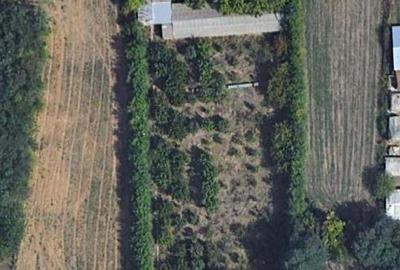 Teren de 4400 mp, în Ceacu - 6