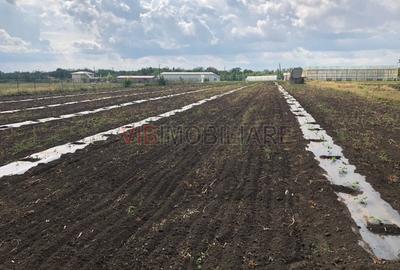 Teren de 30000 mp, în Nicolae Bălcescu