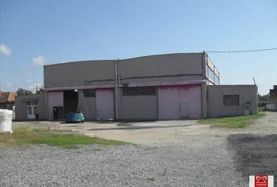 Spațiu industrial, de 7,000 mp, în Sânnicolau Mic - 5