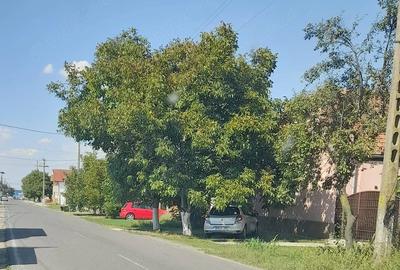 Teren de 1438 mp, în Dudeștii Noi