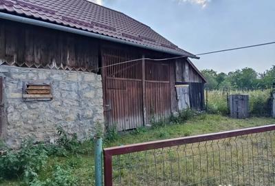 Casă cu 3 camere în Central