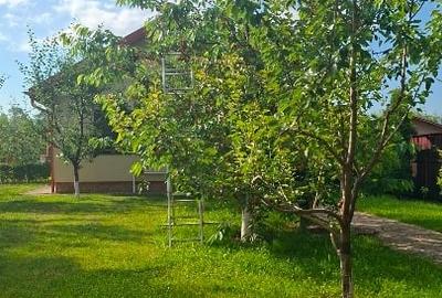 Casă individuală cu 3 camere cu Teren 200 Mp în Cornu de Jos (Cornu) - 2