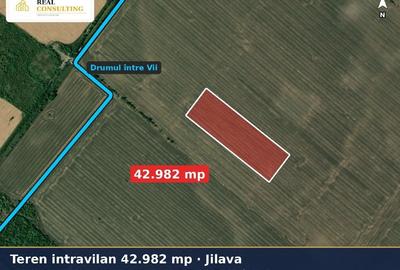 Teren Construcții intravilan de 42982 mp, în Jilava