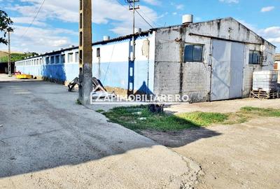 Spațiu industrial, de 1,000 mp, în Nazna - 2