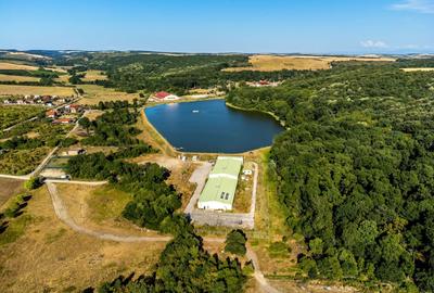 Teren agricol extravilan de 125077 mp, în Herneacova - 5