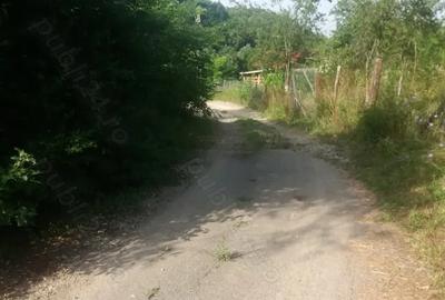 Teren de 1900 mp, în Fedeleșoiu - 1