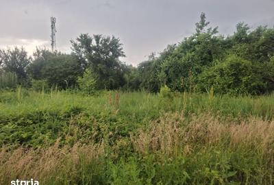 Teren de 854 mp, în Berceni