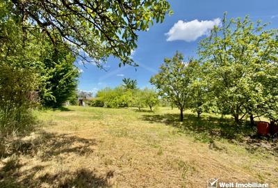 Teren agricol intravilan de 1051 mp, în Borhanci - 2
