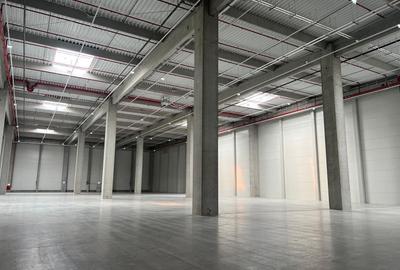 Spațiu industrial, de 1,000 mp, în Ștefăneștii de Jos - 6