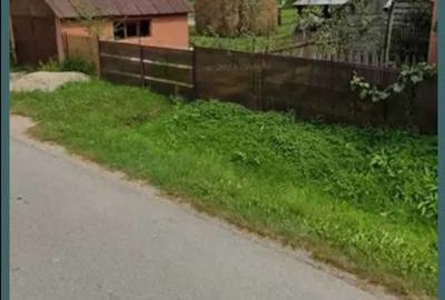 Casă cu 3 camere în Bistra - 5