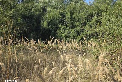 Teren de 6133 mp, în Ciolpani - 2
