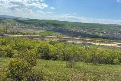 Teren de 45000 mp, în Luna