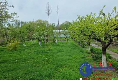 Casă cu Teren 1750 Mp în Babadag