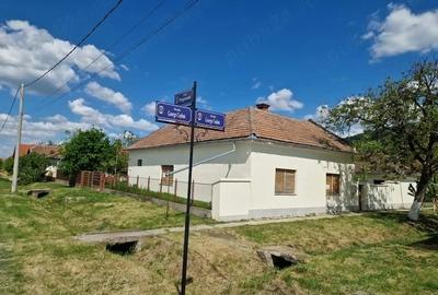 Casă cu Teren 2973 Mp în Șiria - 2
