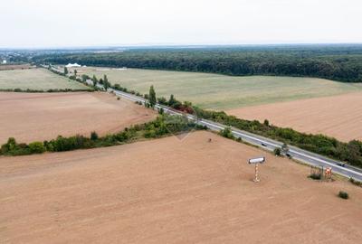 Teren Construcții intravilan de 10000 mp, în Ciolpani