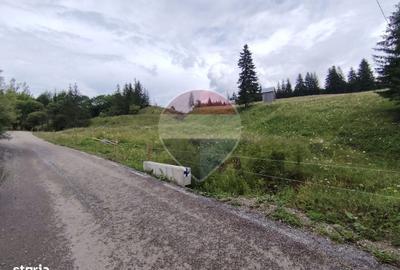 Spațiu comercial, în Dorna Candrenilor