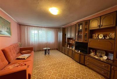 Casă individuală cu 3 camere cu Teren 1340 Mp în Monumentului - 5