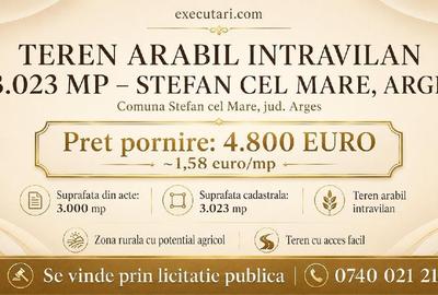 Teren agricol intravilan în Ștefan cel Mare