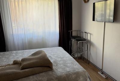 Apartament cu 3 camere decomandat în Griviței - 4