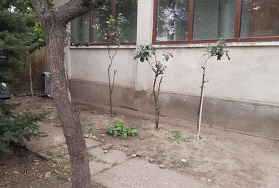Spațiu comercial, de 60 mp, în Central