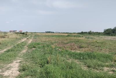 Teren Construcții intravilan de 659 mp, în Moșnița Nouă - 4