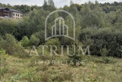 Spațiu comercial, în Făget