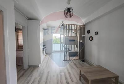 Apartament cu 2 camere semidecomandat, mobilat în Parcul Carol - 3