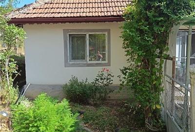 Casă cu 2 camere cu Teren 10000 Mp în Ciuruleasa
